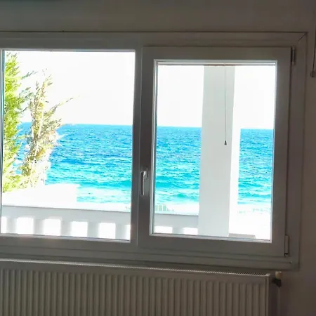 White House Дом отдыха
