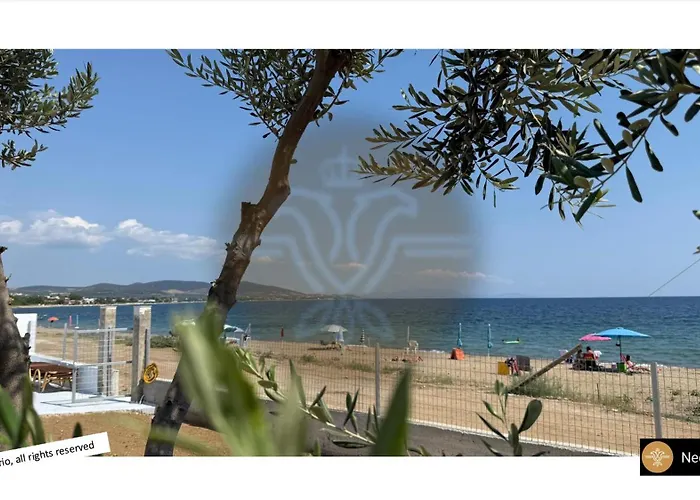 White House * Kalyves Polygyrou