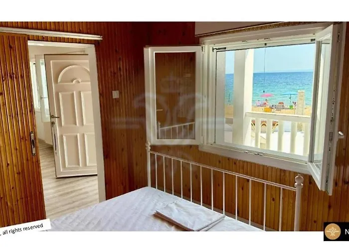 度假居 White House *