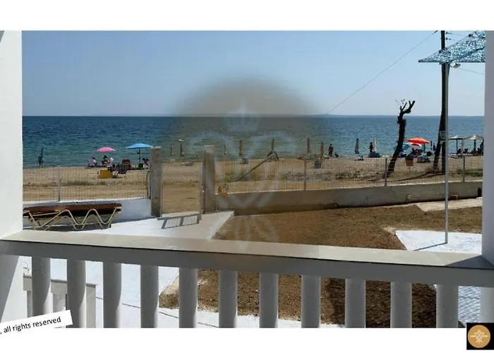 度假居 White House